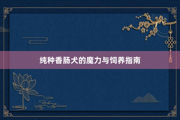 纯种香肠犬的魔力与饲养指南